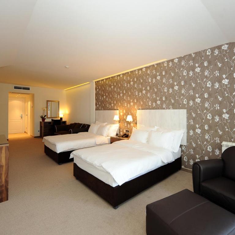 Hotel 1000 Ruza - Superior Dvokrevetna Soba sa Bračnim Krevetom - 10