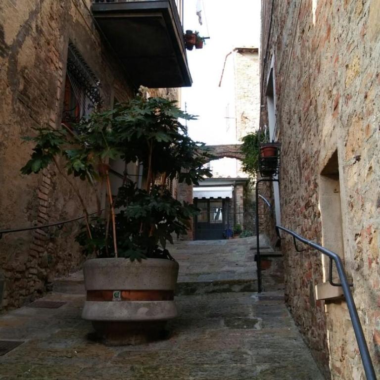 Casa Giulia on Francigena - Appartamento con 1 Camera da Letto - 55