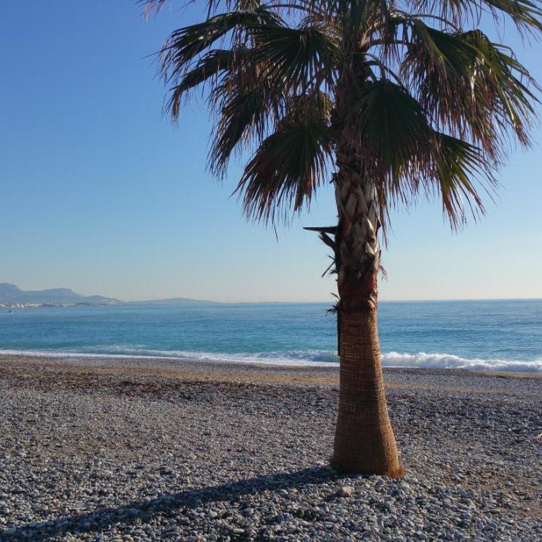 Résidence Cap Azur Maison N° 26 - Maison de Vacances - 34