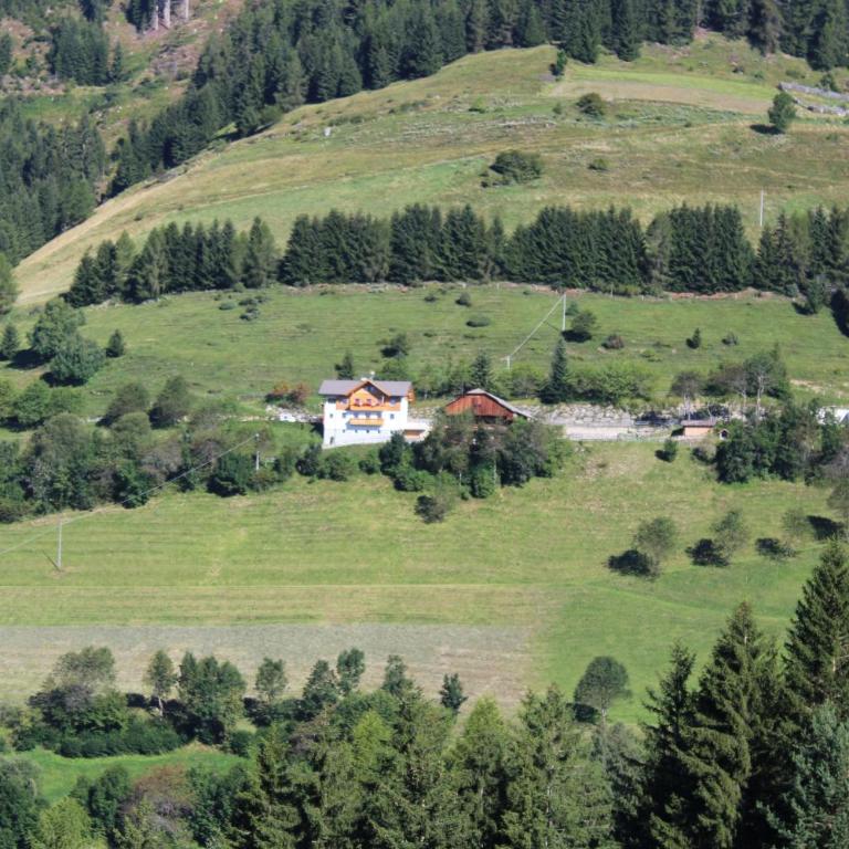 Leitnerhof - Apartamento con vistas a las montañas - 10