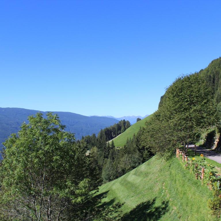 Leitnerhof - Apartamento con vistas a las montañas - 9