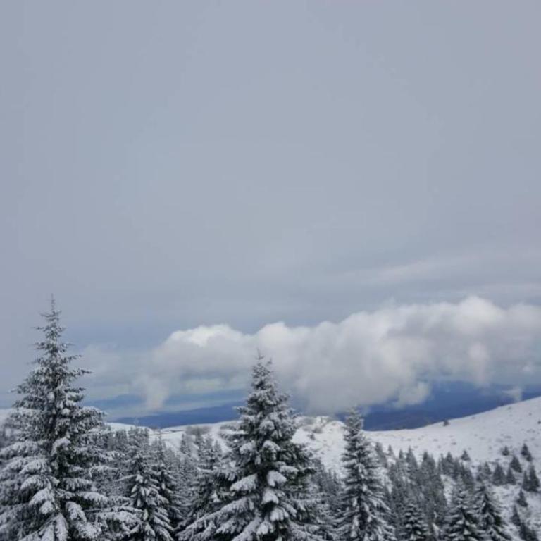 Apartment Simonida - Milmari M3 - Apartman sa Pogledom na Planinu - 9