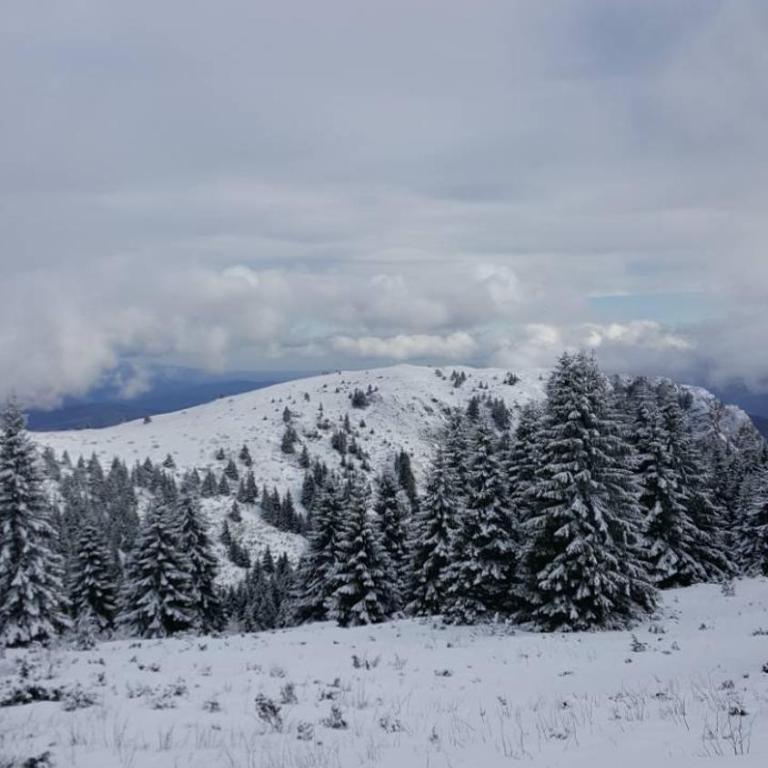 Apartment Simonida - Milmari M3 - Apartment with Mountain View - 1