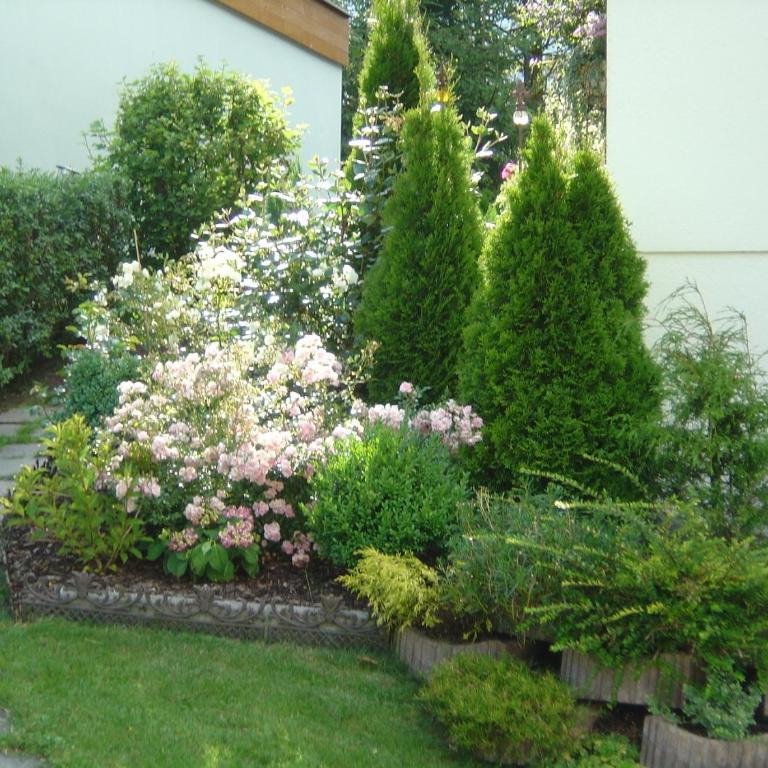 Apartment Koller - Apartment mit 1 Schlafzimmer und Balkon - 15