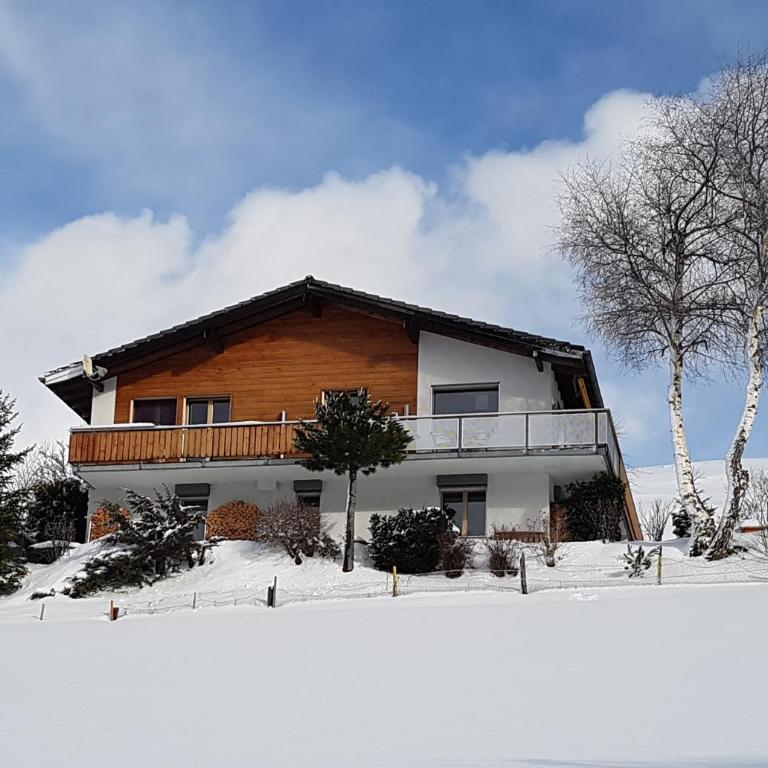 Chalet Florida - Apartment - Erdgeschoss - 7