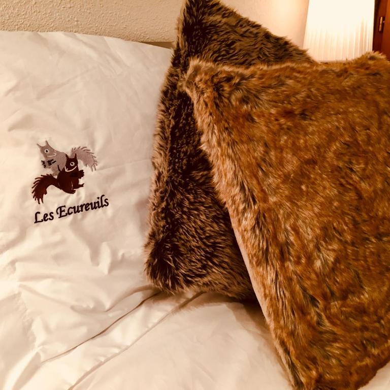 Les Ecureuils Squirrel Lodge - Appartement avec Vue sur la Montagne - 49