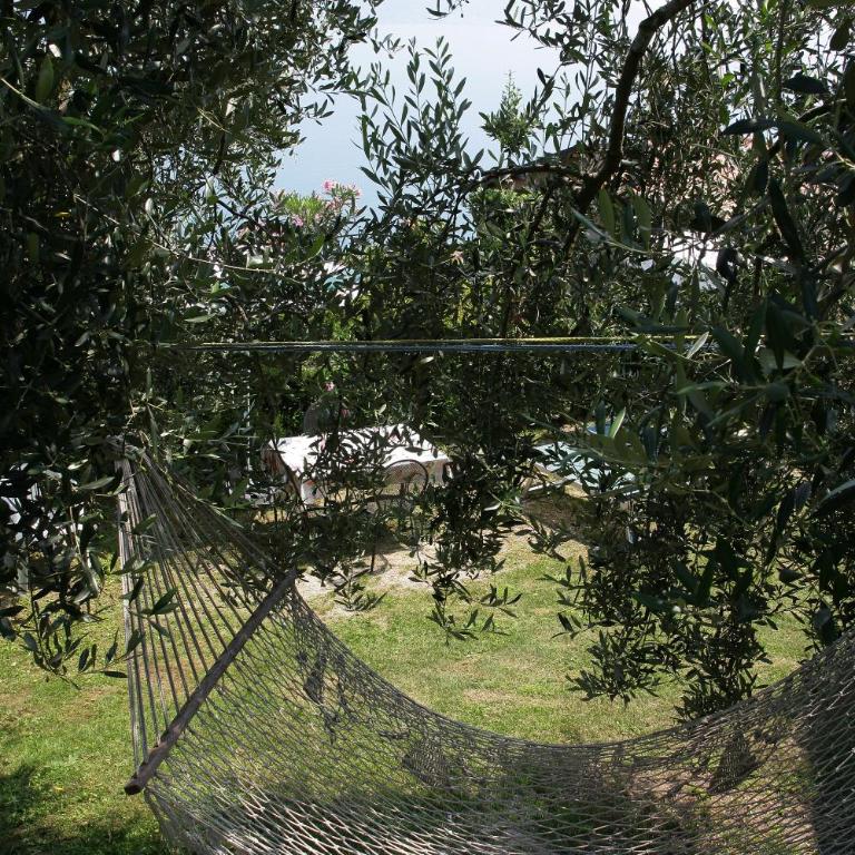 Appartamenti Serena - Nonna Agnese - Apartamento - 2