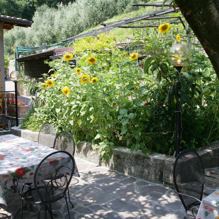 Appartamenti Serena - Nonna Agnese - Apartamento - 11
