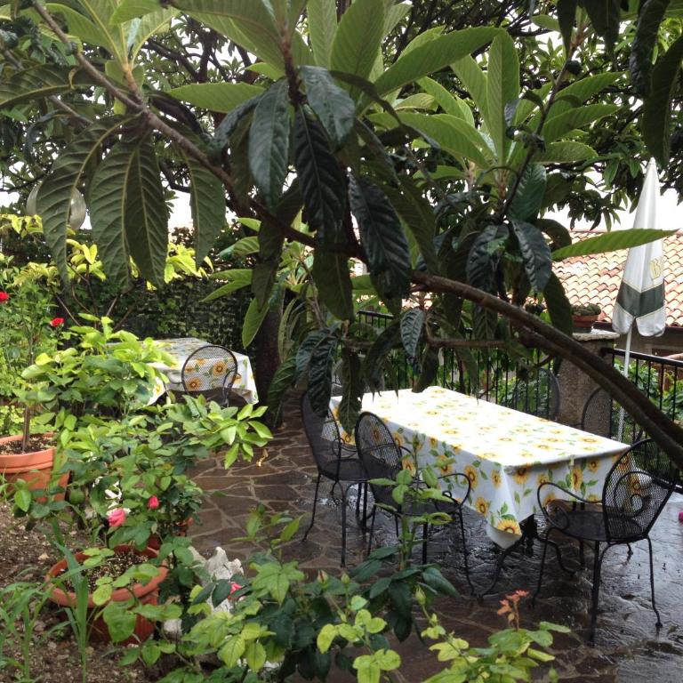 Appartamenti Serena - Nonna Agnese - Apartamento - 9