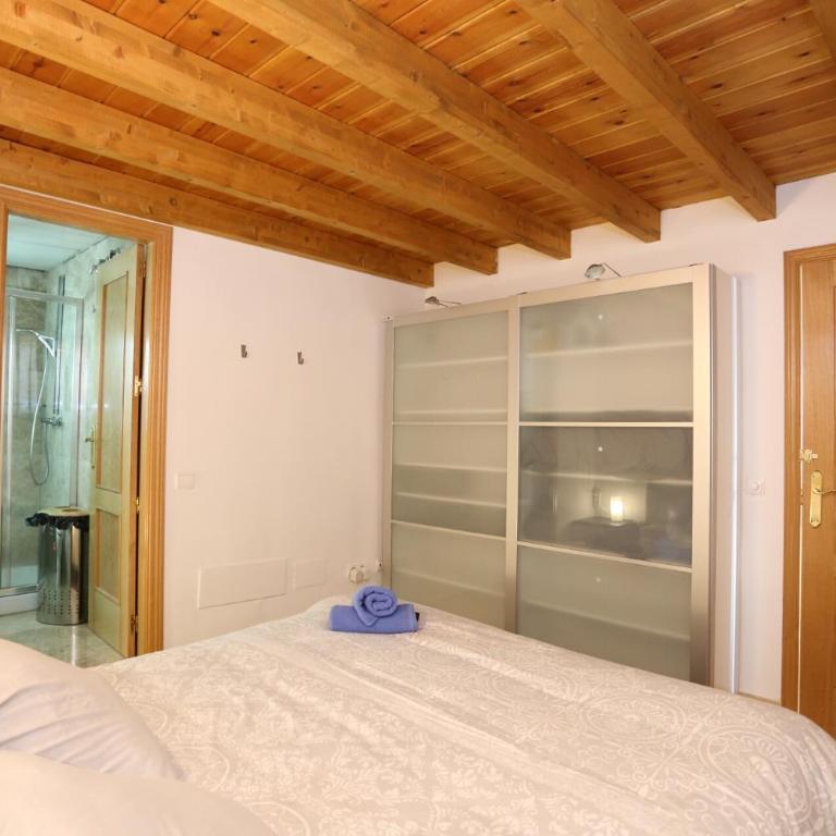 Miramar Ski a pie de pista - ÁTICO DUPLEX , 4 habitaciones - Loft - 12