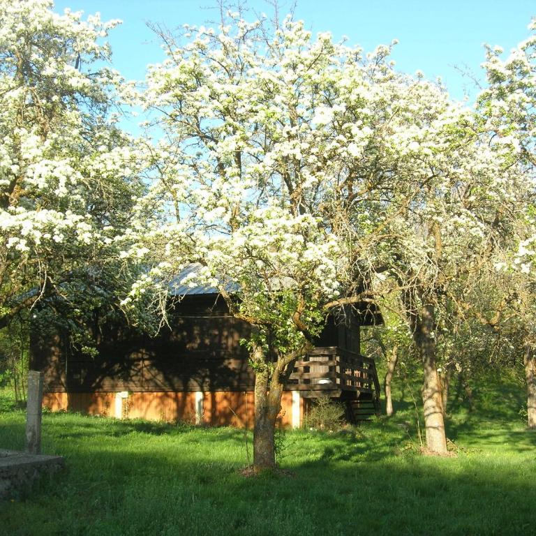 Camping, Hôtel De Plein Air Les Cariamas - Chalet de 3 dormitorios - 3