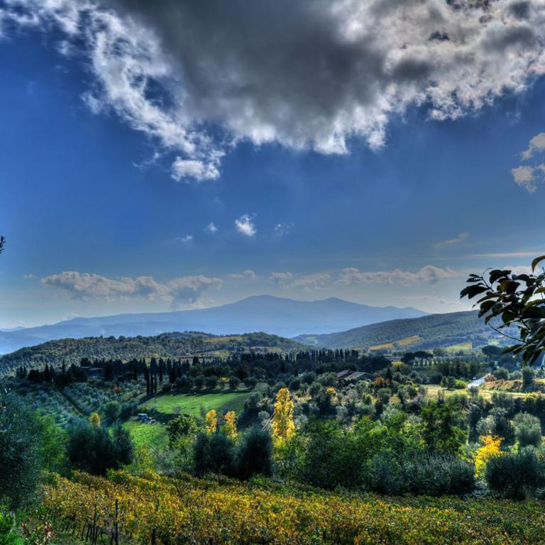 Agriturismo Fraschetta - Estudio Estándar - 1