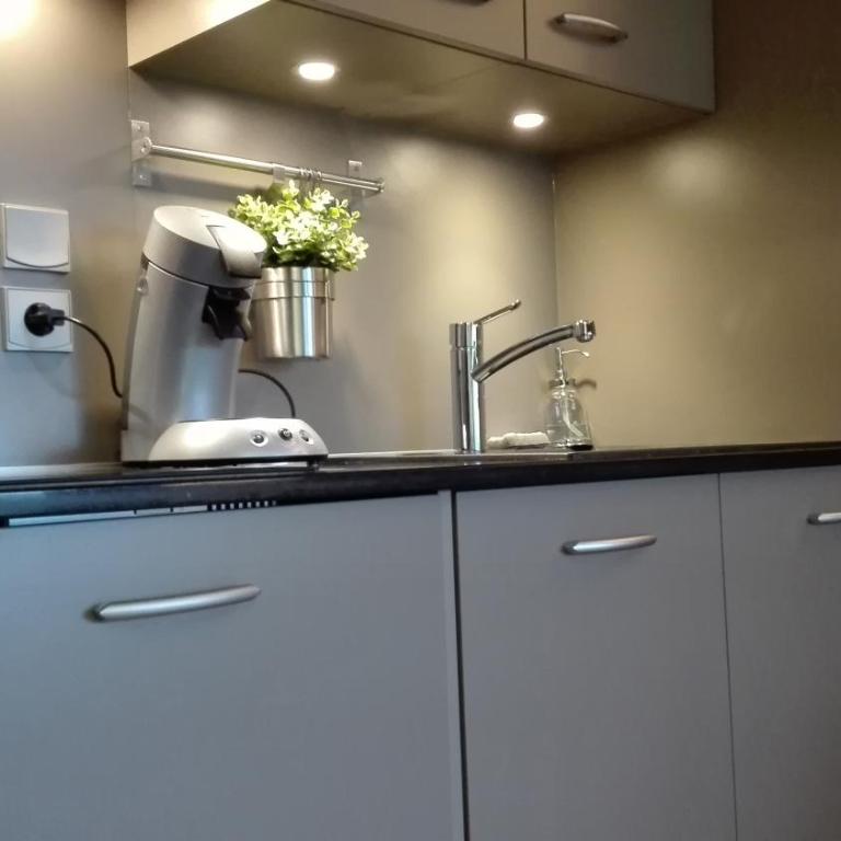 Rez de chaussée très calme vue Mont-Blanc - Appartement avec Vue sur la Montagne - 6