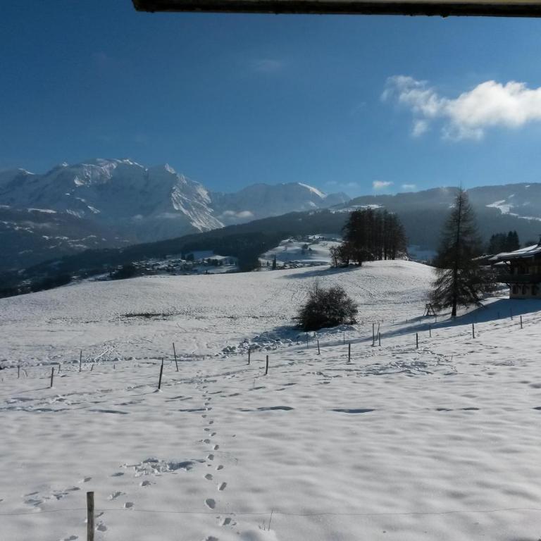 Rez de chaussée très calme vue Mont-Blanc - Appartement avec Vue sur la Montagne - 2