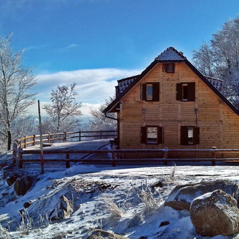 Vikendica Vila Despotovic - Villa - 63