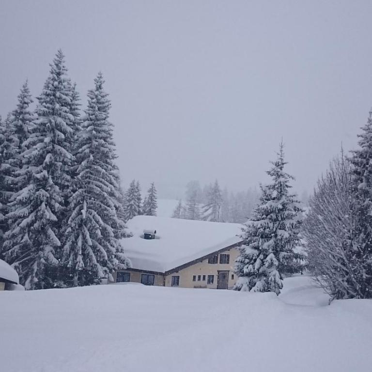 Appartmenthaus Hochkönig - Apartment mit 1 Schlafzimmer - 10