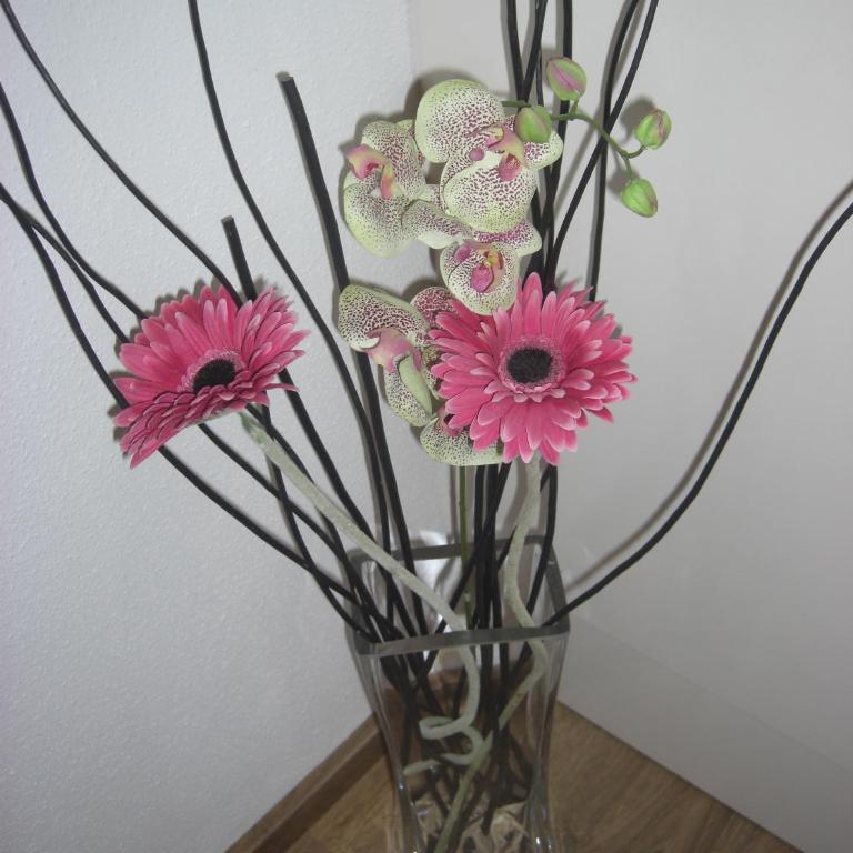die Gartenwohnung - Tanja Tipotsch - Apartment - Split Level with Garden View - 21