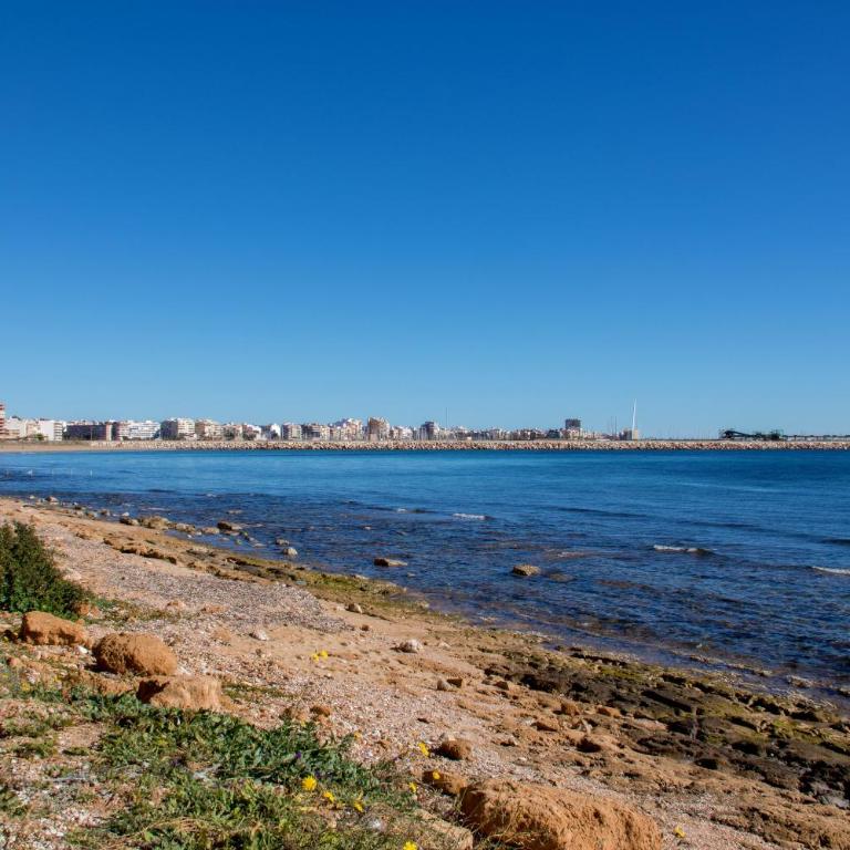Apartamento 50m al MAR - Apartamento de 1 dormitorio - 23