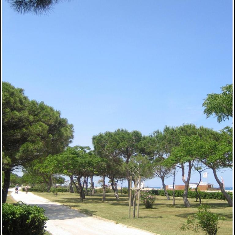 Locations Meublées Plage des Pins - Appartement 1 Chambre - 11