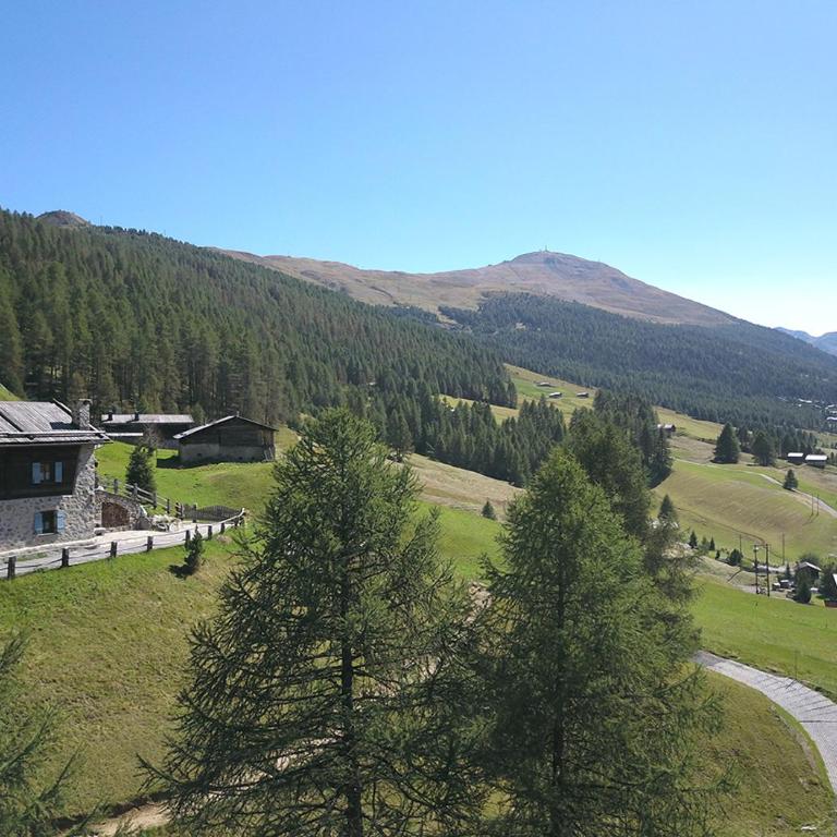 Chalet Charm by Original Galli - Chalet - 10