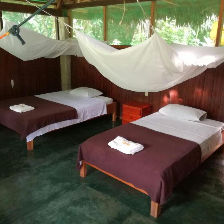 Paradise Amazon Tambopata Ecolodge - Twin Room with Private Bathroom - 6