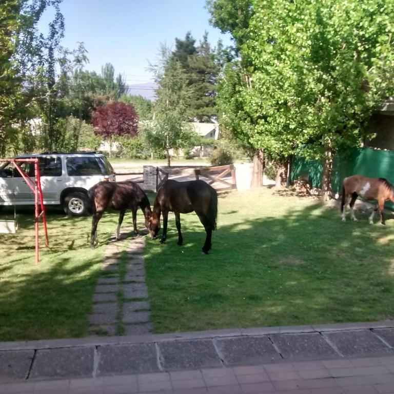 Casa de montaña, valle del sol, potrerillos, Mendoza - Chalet de 3 dormitorios - 24