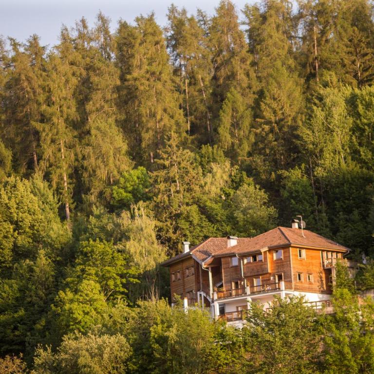 Schlossblick - Appartamento con Vista Montagna - 16