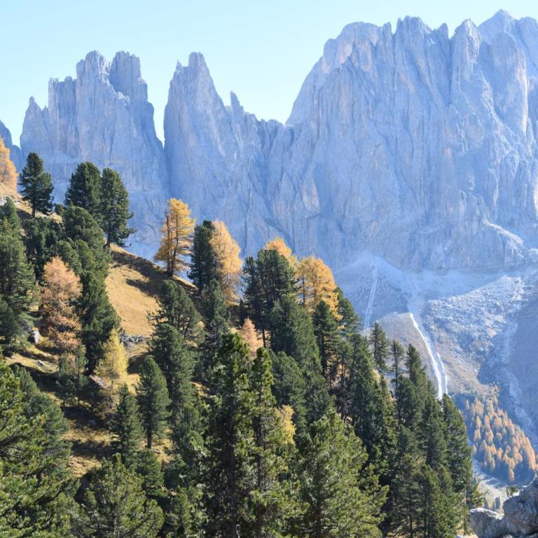 Schlossblick - Appartamento con Vista Montagna - 27