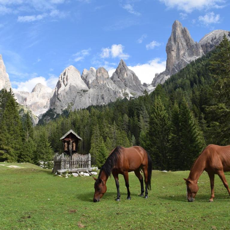 Schlossblick - Appartamento con Vista Montagna - 25