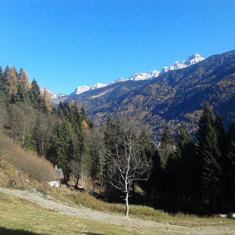 Chalet Immerso nel Verde - Chalet - 8