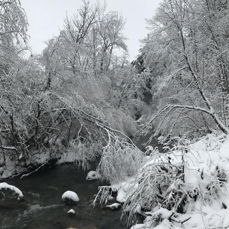 Domaine De Malcor Adult et enfants à partir de 12 ans - nous contacter - Chalet 3 Chambres - 37