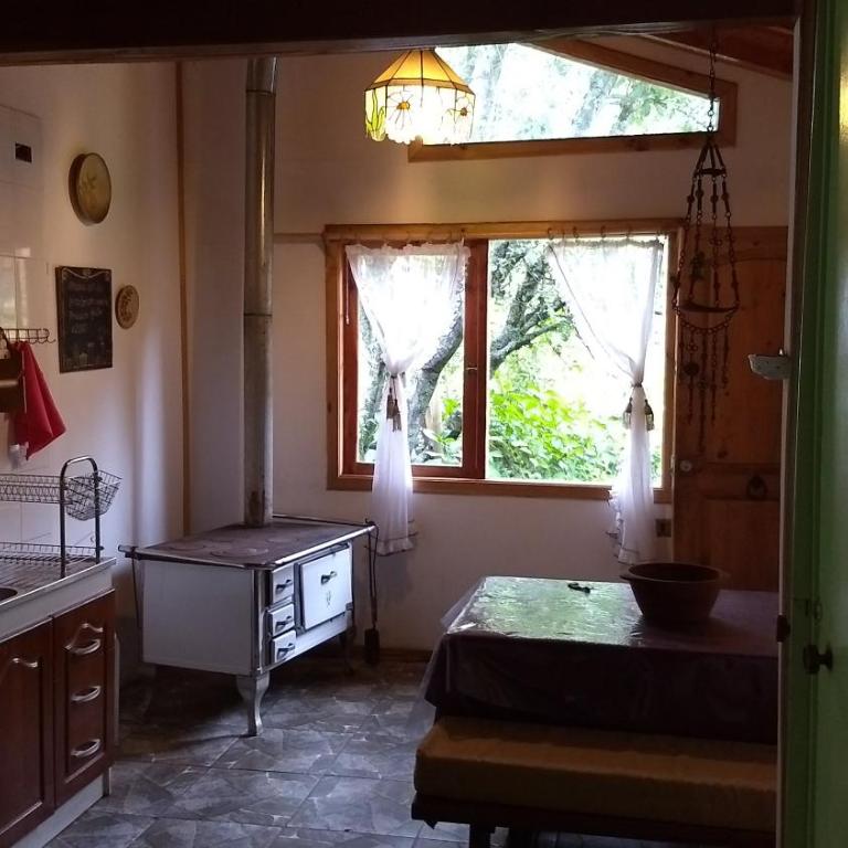 Cabañas Kalfucura - Cottage with Garden View - 11
