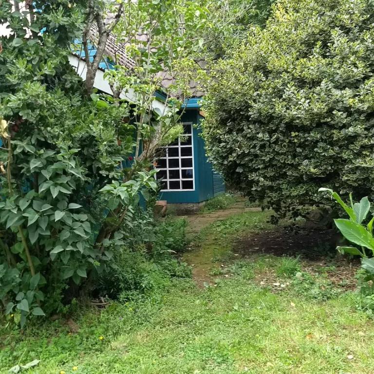 Cabañas Kalfucura - Cottage with Garden View - 23