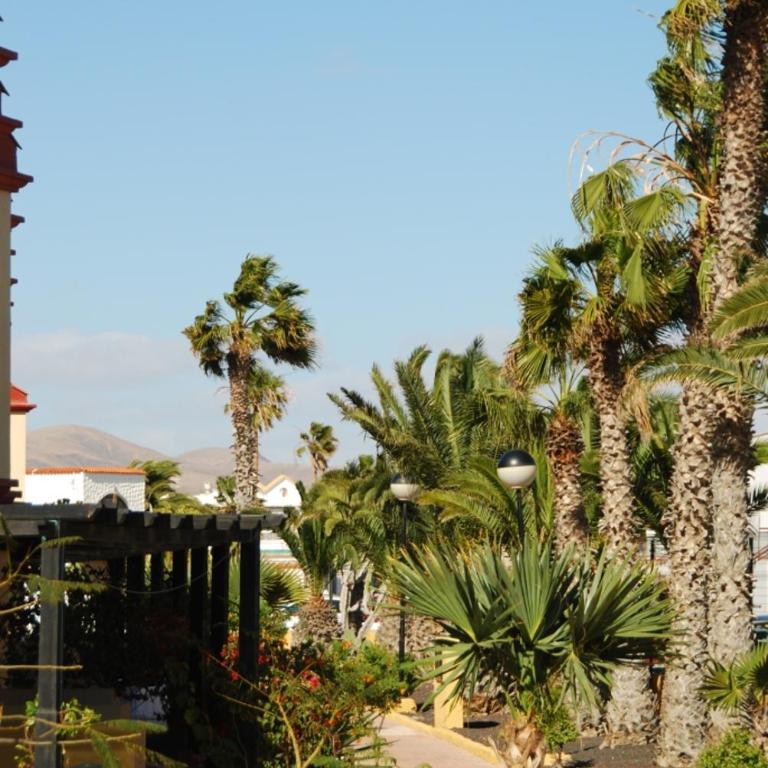 Holiday house Fuerteventura - Casa - 49