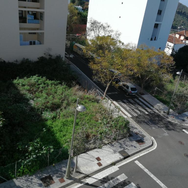 Apartamento centro de Icod 5 min. Drago - Apartamento - 16