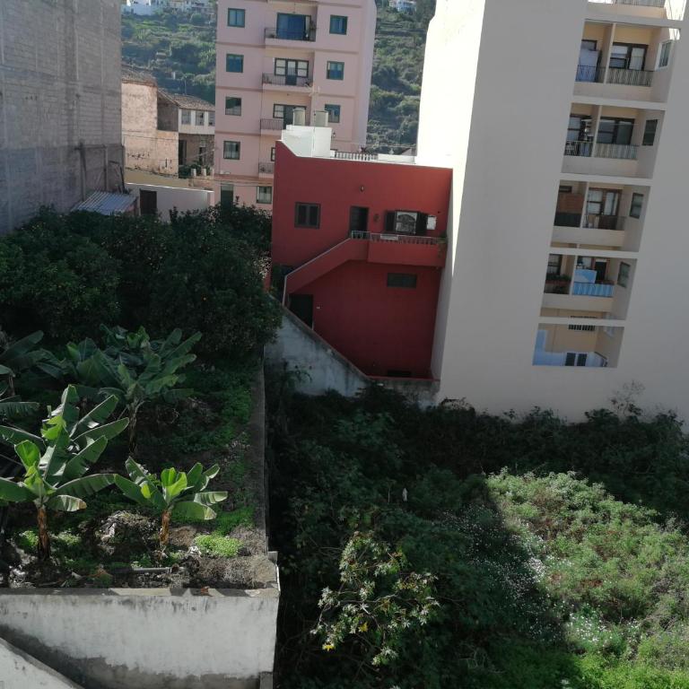Apartamento centro de Icod 5 min. Drago - Apartamento - 17