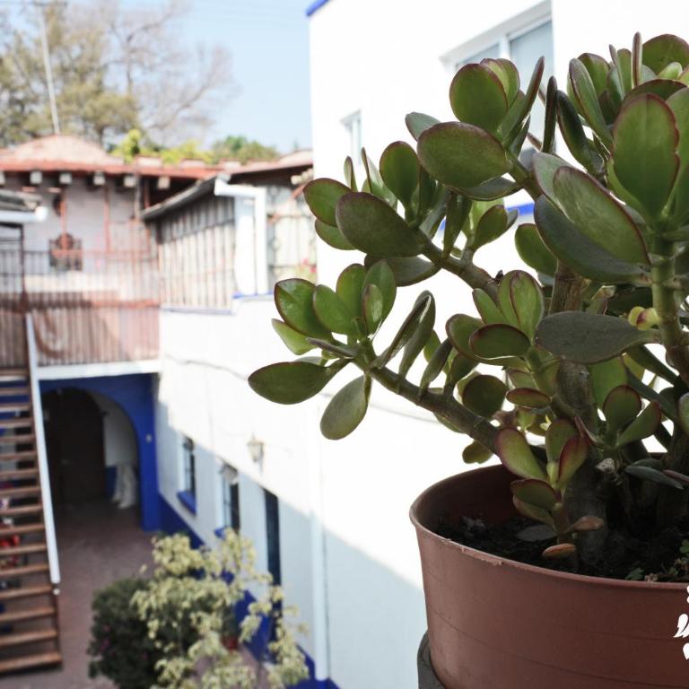 Centenario 29 - Apartment - 31
