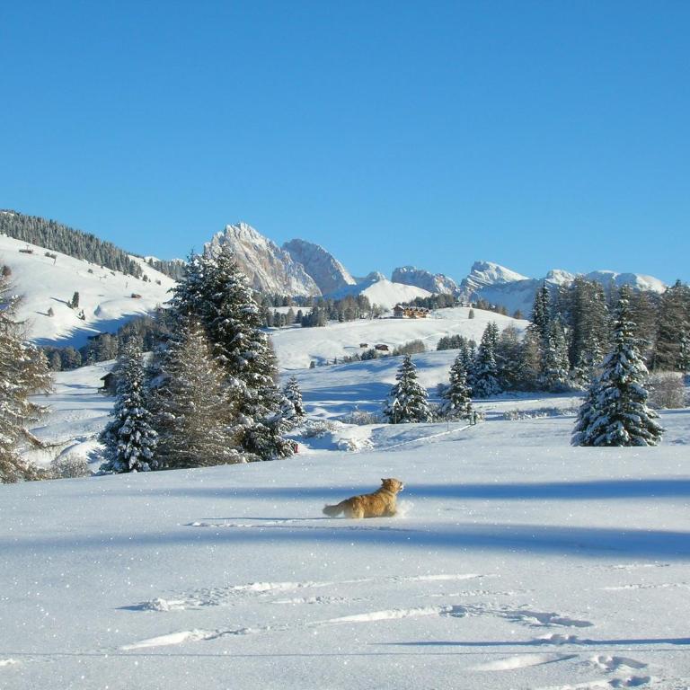 Schlossblick - Appartamento con Vista Montagna - 10