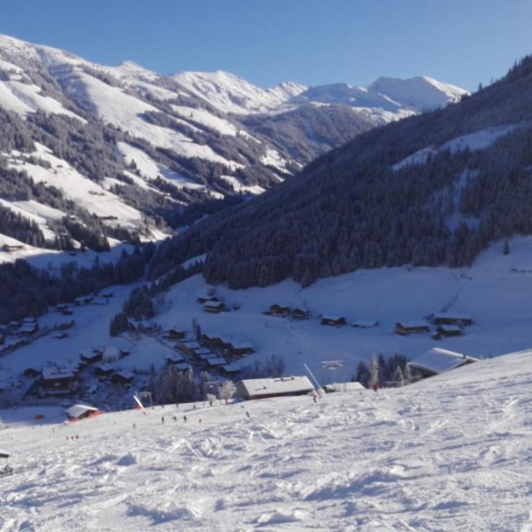 Haus am Sunnfeld - Apartment mit Blick auf die Berge - 23
