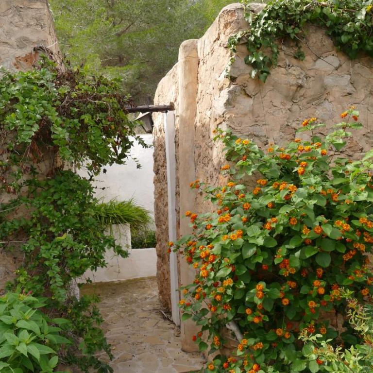 encantadora casa ibicenca - Villa - 38