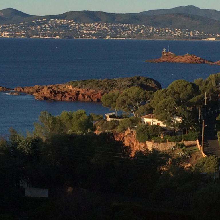 Résidence Le Château - Parc Santa Lucia - Appartamento con Vista Mare - 1