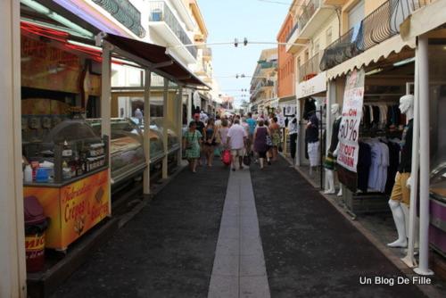 Le Nautilus - 2 adultes 3 enfants - Canet Plage - Vue Mer - Place Mediterranée - Apartment with Sea View - 65