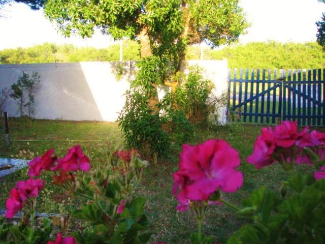 Casa frente al Mar Aguas Verdes - Casa - 9