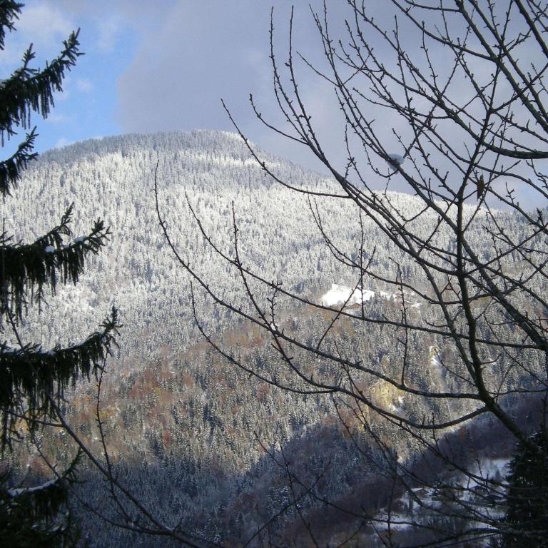 Le Caribou - Appartement (12 Adultes) - 13