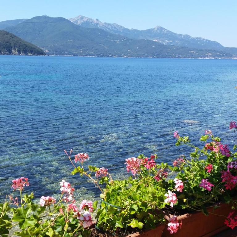 Appartamento il Sottomarino - Goelba - Apartment - 39