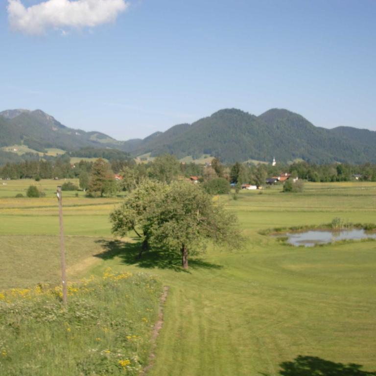 Hutzenauerhof - Apartment mit Blick auf die Berge - 8