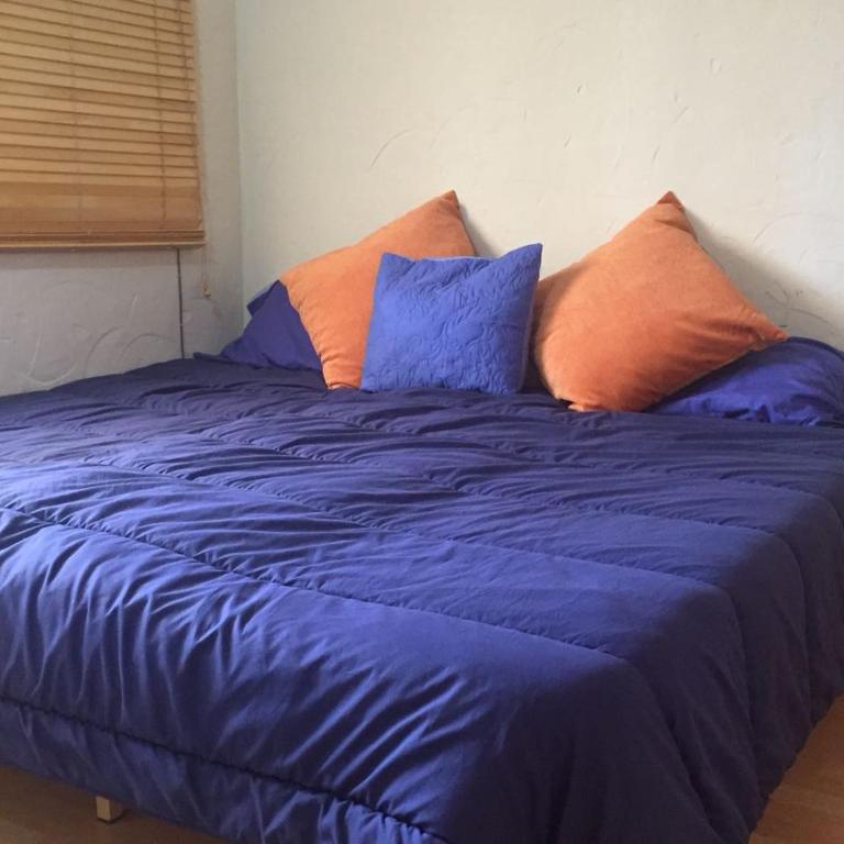First line Apartment - Apartamento - 7
