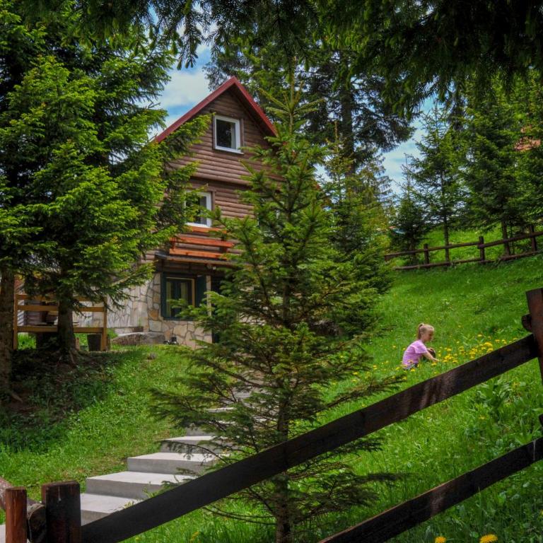Chalet Escapade with Sauna - Chalet - 1
