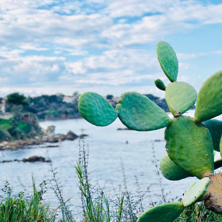Villa Arcipelago - Villa Fronte Spiaggia - 23