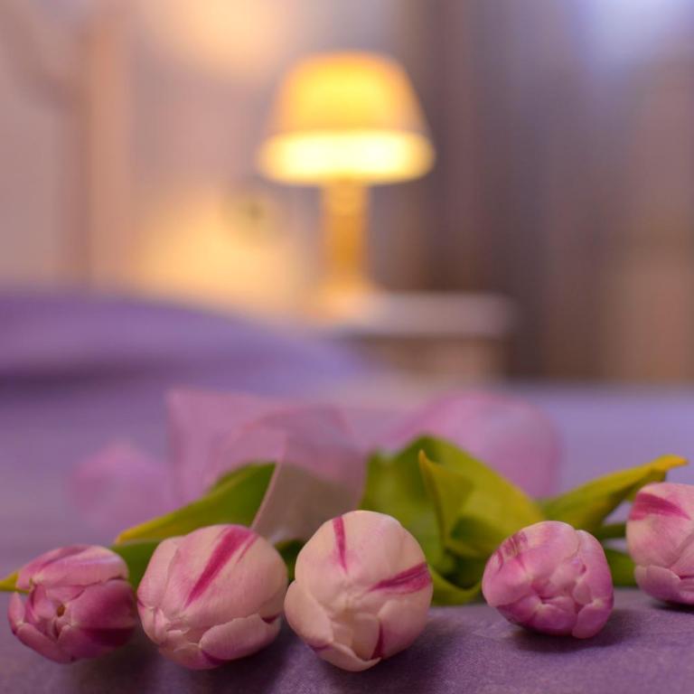 B&B La Casa dei Tintori - Camera Matrimoniale/Doppia con Letti Singoli con Bagno Privato - 5